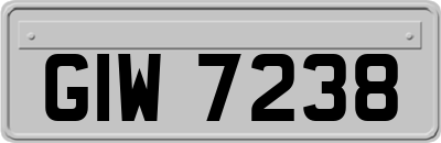 GIW7238