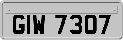 GIW7307