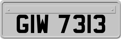 GIW7313