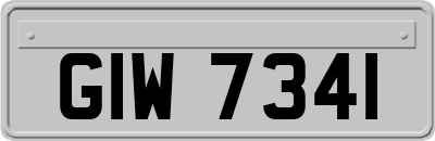 GIW7341