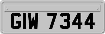 GIW7344