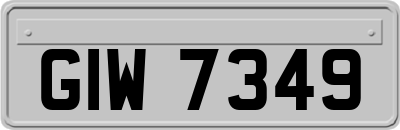 GIW7349