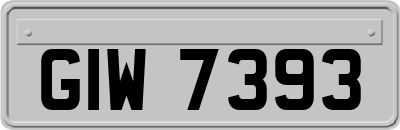 GIW7393