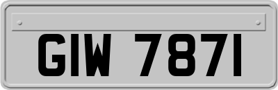 GIW7871