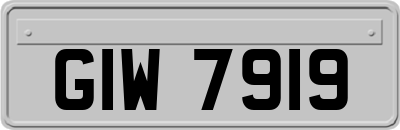 GIW7919