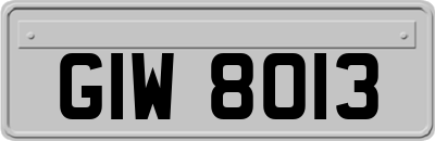 GIW8013