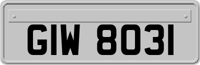 GIW8031