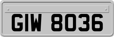 GIW8036