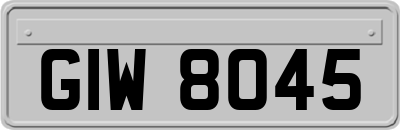 GIW8045