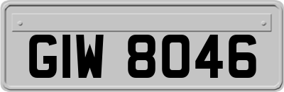 GIW8046