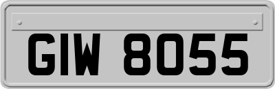 GIW8055