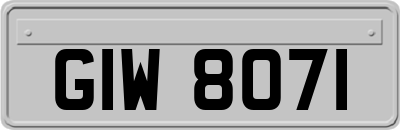 GIW8071
