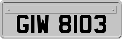GIW8103