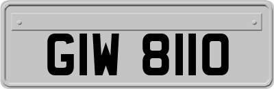 GIW8110