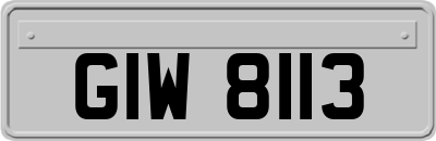 GIW8113