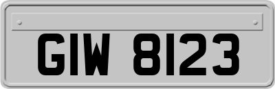 GIW8123