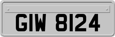 GIW8124
