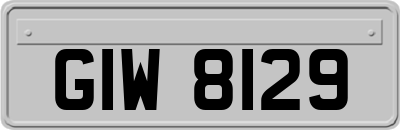 GIW8129