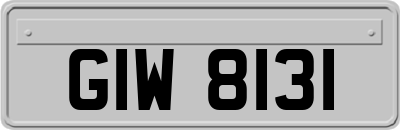 GIW8131