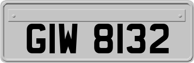 GIW8132