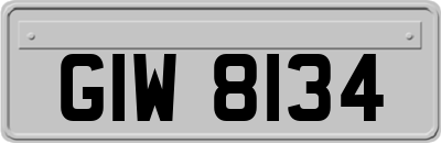 GIW8134