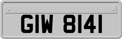 GIW8141