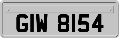 GIW8154