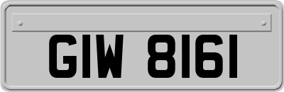 GIW8161