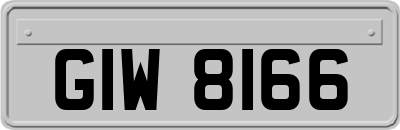 GIW8166