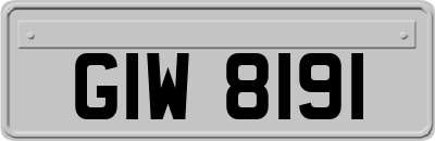 GIW8191