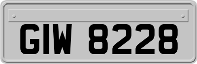 GIW8228