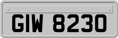 GIW8230