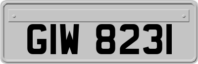 GIW8231