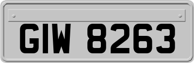 GIW8263