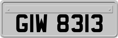 GIW8313