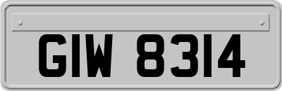 GIW8314