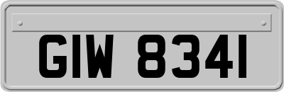 GIW8341