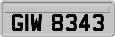 GIW8343