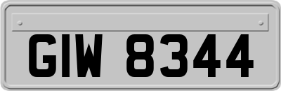 GIW8344