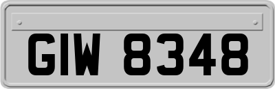 GIW8348