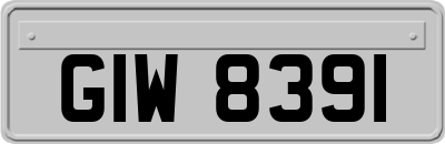 GIW8391