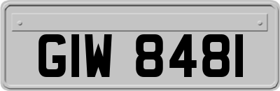 GIW8481