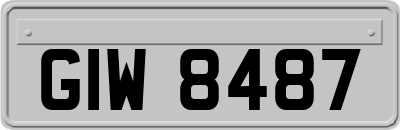 GIW8487