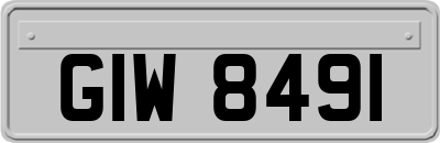 GIW8491