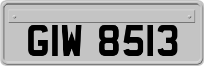 GIW8513