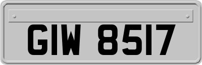 GIW8517