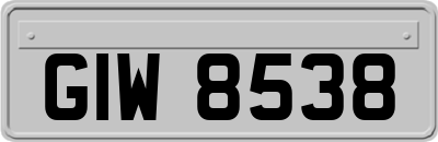 GIW8538