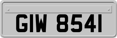 GIW8541