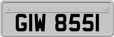 GIW8551