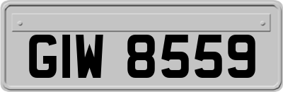 GIW8559